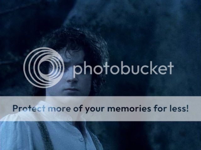 Galadriel’s Glade 1 ~ ‘What will I see?’ plus a new poem by jan-u-wine